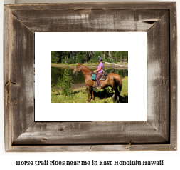 horse trail rides near me in East Honolulu, Hawaii